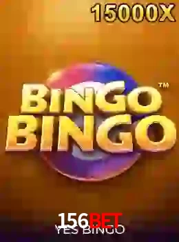 bingobingo